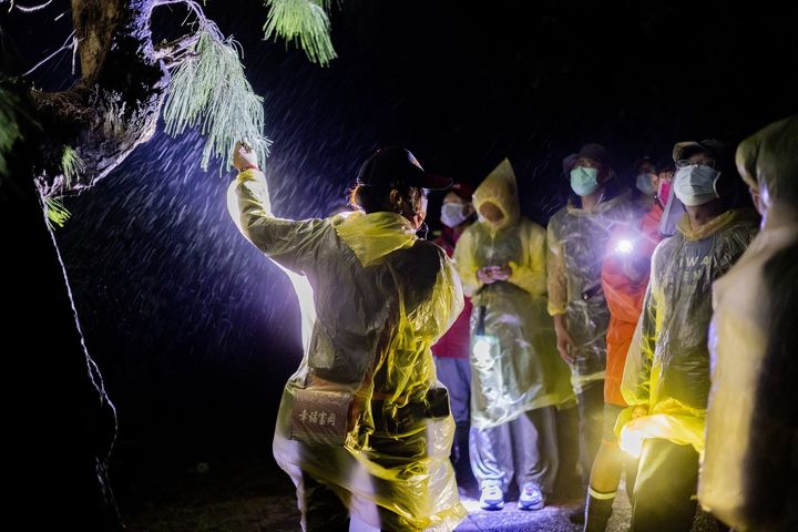 ▲夜探三仙台。　圖：東部海岸國家風景區管理處／提供