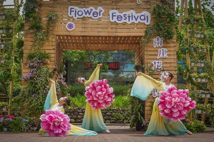 2022南庄花卉節將於4月23日至5月22日舉辦。　圖：參山國家風景區管理處／提供 