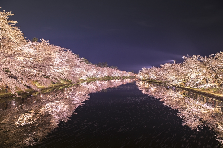 ▲弘前櫻花祭不僅白天精彩，夜間點燈更是將遊客引領至幻想世界。　圖：写真AC／來源