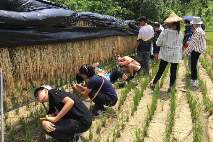 ▲深入校園投入食農教育，讓孩子知道米糧的生長歷程。　圖：日晒米屋─鹿光米／提供