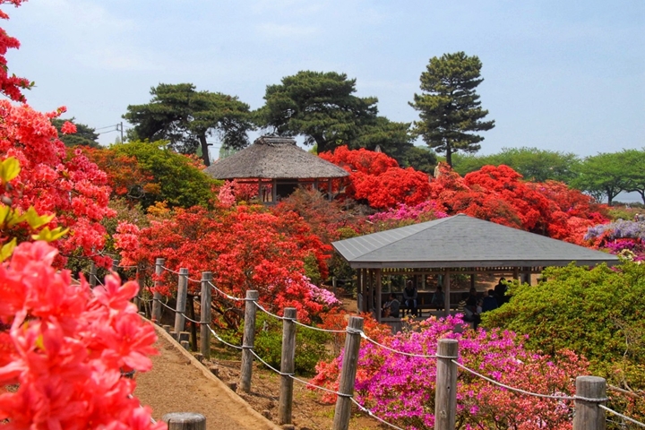 ▲公園內涼亭、步道等設施完善，規劃家族旅遊來玩也很合適。　圖：群馬県／來源