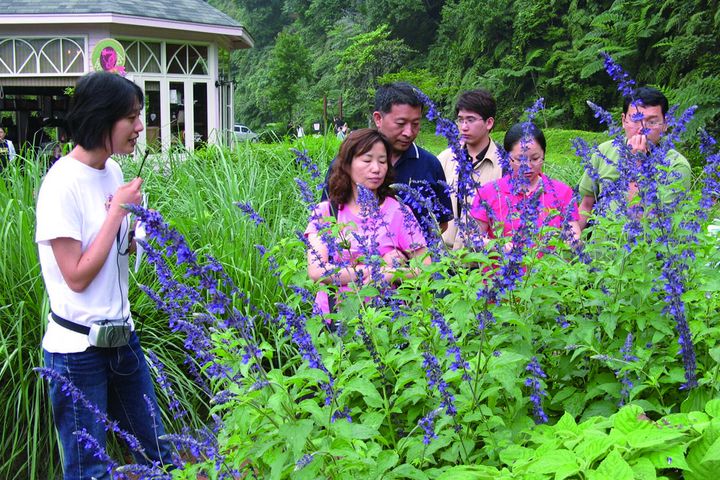 ▲香草品香體驗。　圖：安妮公主花園／提供