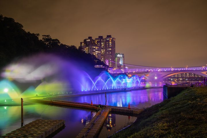 ▲來碧潭岸邊，白天看情人菊晚上看水舞。　圖：新北市政府觀光旅遊局／提供