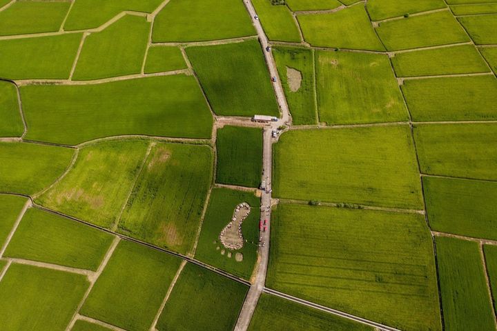 花蓮織羅部落，稻田腳印餐桌。　圖：花東縱谷國家風景區管理處／提供