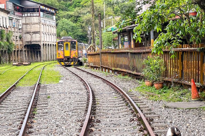 ▲菁桐洗選煤場遺址及火車駛過的景色充滿濃濃懷舊感。　圖：新北市政府觀光旅遊局／提供