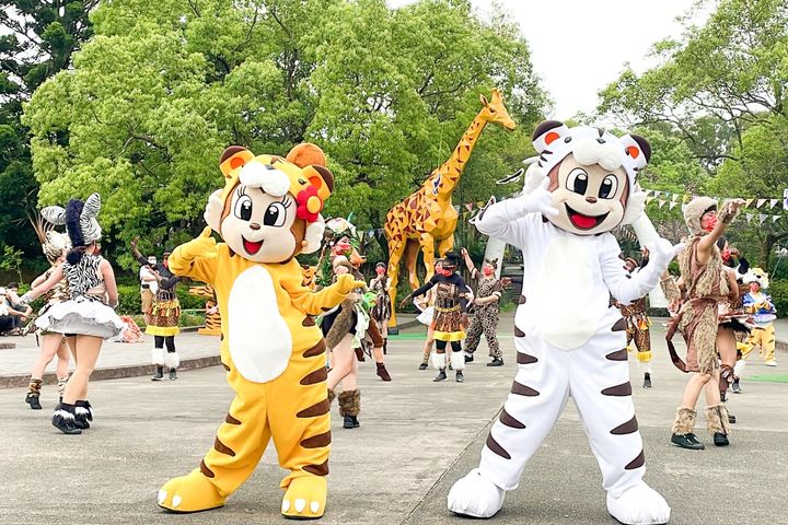 ▲「動物派對－兩隻老虎」帶來歡樂氣氛。　圖：六福村主題遊樂園／提供