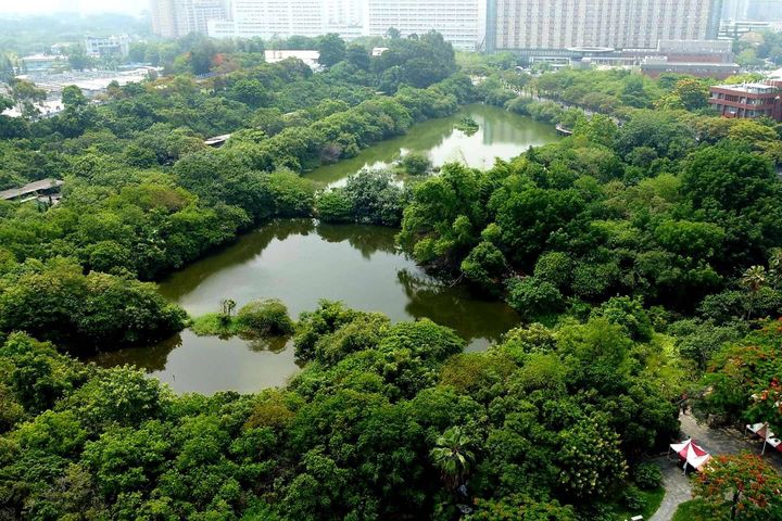 ▲鳥松溼地是台灣首座以人工濕地為主題的教育公園，堪稱都市「綠色珍珠」。　圖：高雄市政府觀光局／提供