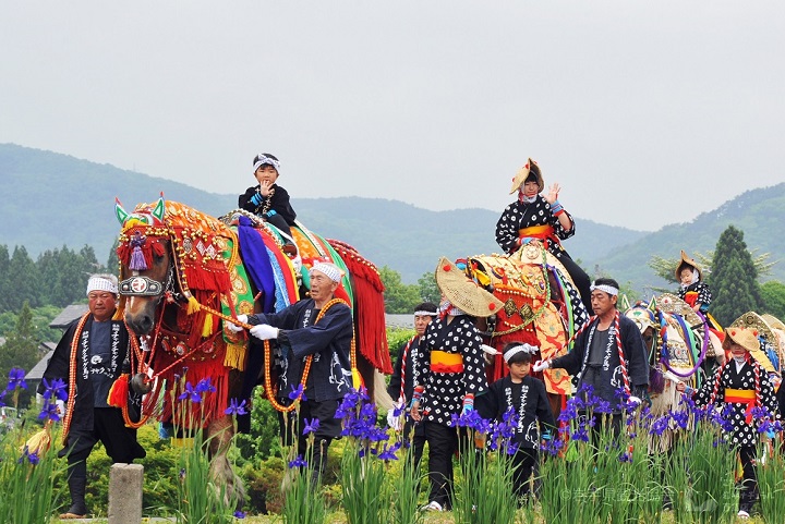 史上跟馬兒最親近！直擊岩手100匹駿馬的華麗遊行祭典