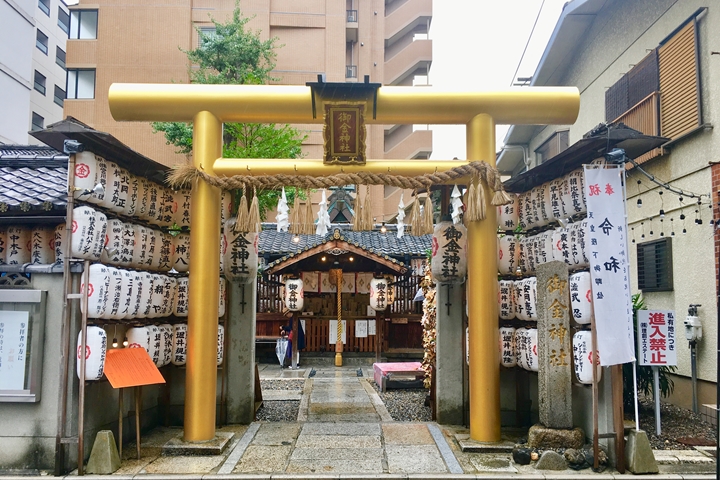 御金神社的金色大鳥居超搶眼！光看就覺得能量滿滿！　圖：写真AC／來源