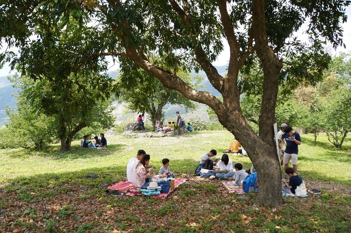 ▲午后時光綠蔭下野餐。　圖：茂林國家風景區管理處／提供