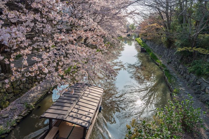 ▲八幡堀是一條在16世紀末由豐臣秀吉所建造的運河，昔日曾經是當地重要的運輸要道，連接著琵琶湖，造就近江商人的發跡。　圖：晴天旅遊／提供