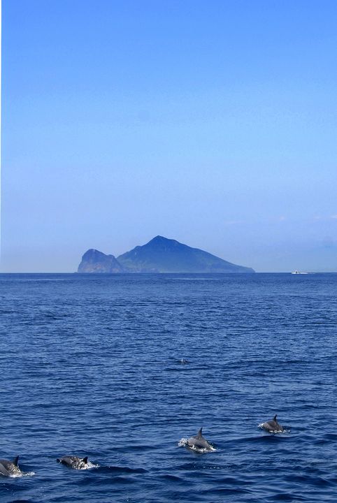 ▲龜山島海域老船長找鯨豚（資料照片）。　圖：東北角暨宜蘭海岸國家風景區管理處／提供
