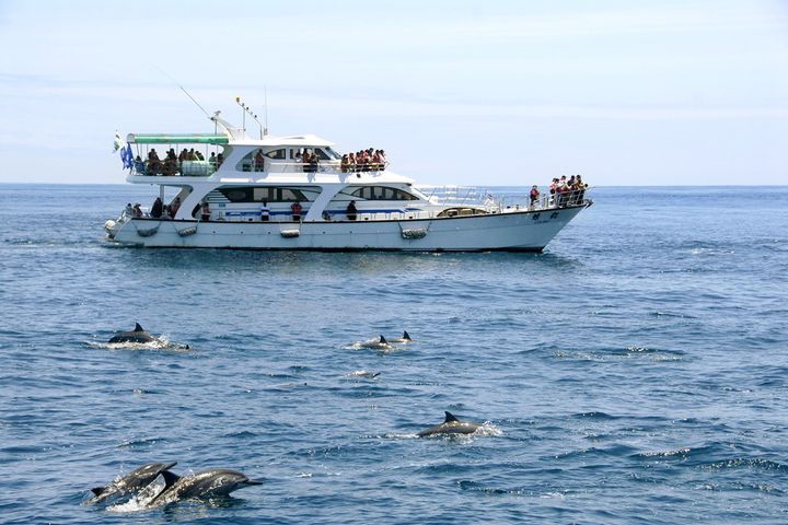 龜山島海域老船長找鯨豚（資料照片）。　圖：東北角暨宜蘭海岸國家風景區管理處／提供