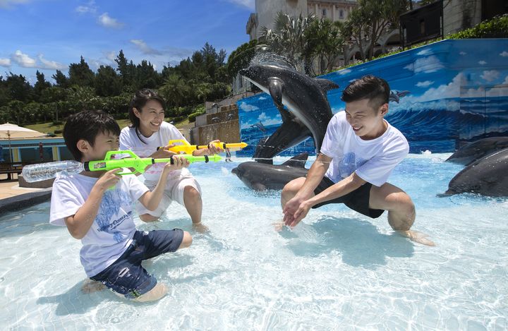 ▲海豚三D戲水池。　圖：遠雄海洋公園／提供