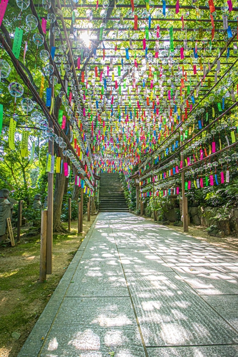 ▲風鈴祭期間寺內到處都是打卡聖地，推薦穿著浴衣來參拜拍美照！　圖：写真AC／來源