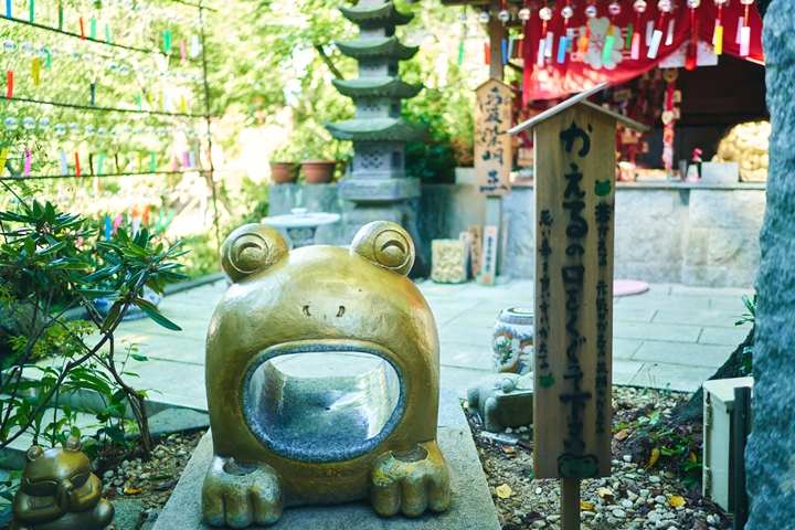 日本九州夏季玩這裡！福岡超可愛青蛙寺 風鈴祭涼爽登場