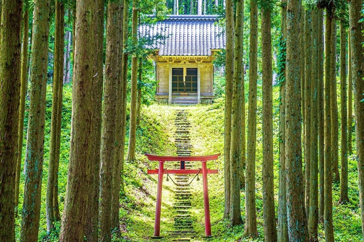 彷彿吉卜力世界重現 山形絕景秘境小野曾神社