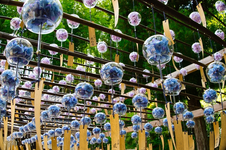 2022正壽院風鈴祭已在6月1日開跑，預計持續至9月18日。　圖：日本旅行情報局／提供