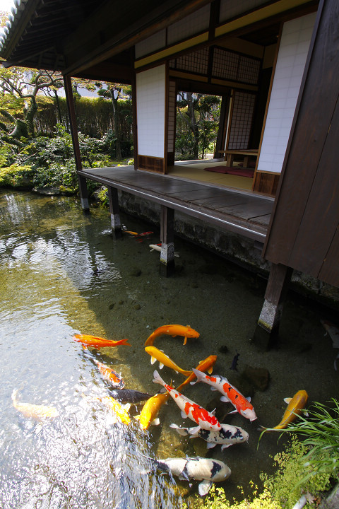 ▲四明莊的湧水庭園十分值得一看。　圖：長崎縣觀光連盟／提供