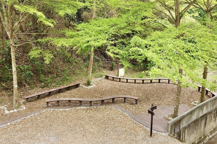 ▲關廟森林公園小葉欖仁休憩區。　圖：臺南市政府觀光旅遊局／提供