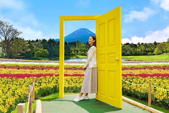 富士山今夏最新活動「虹之花祭」 繽紛花海、美照專區到10月都能玩