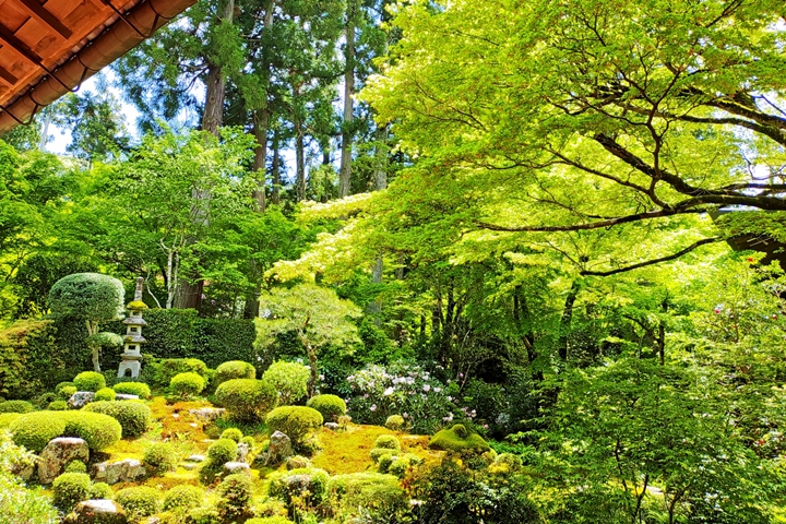 ▲境內「聚碧園」一景。　圖：写真AC／來源