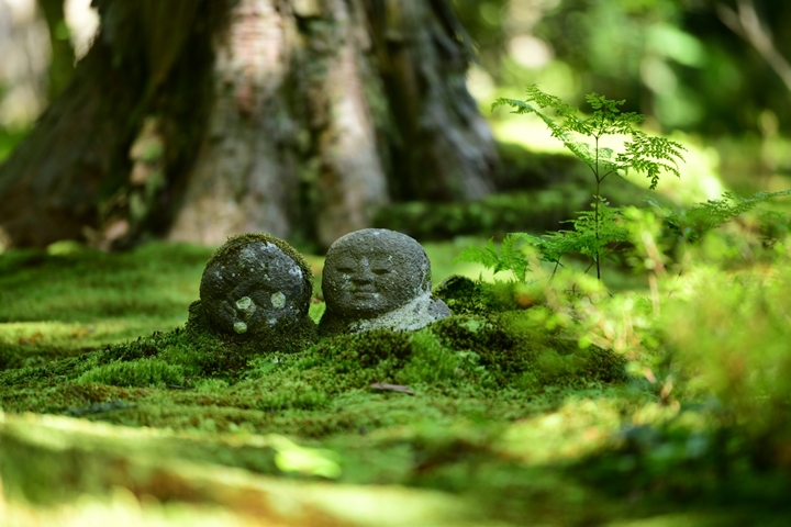 到京都避暑追新綠！三千院超萌孩童地藏、特色庭園漫步