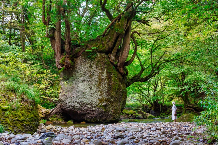 宛如走進電影的自然秘境～朝聖秋田能量景點根古波離岩