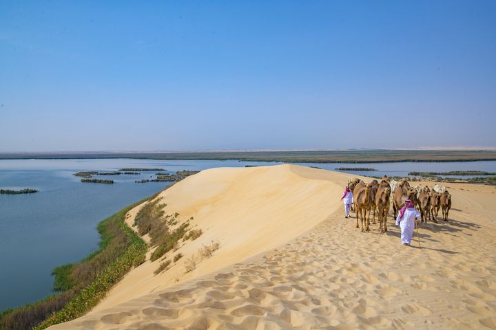 ▲哈薩綠洲是徒步旅行愛好者的天堂　圖：沙烏地阿拉伯旅遊局／提供