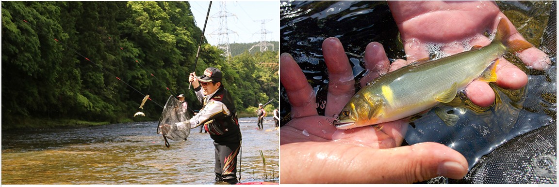 ▲愛知縣東榮町振草川擁有培育美味香魚的天然優質環境！　圖：愛知縣東三河廣域觀光協議會 / 提供