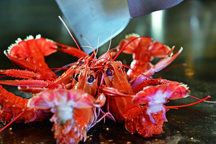 龜山島野生角蝦是非常珍貴的時令海味。　圖：饗宴鐵板燒／提供