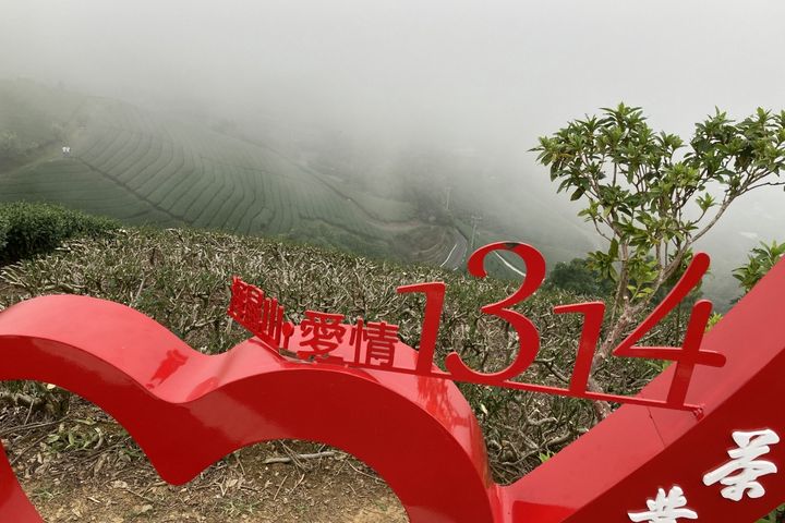 ▲在1314觀景台許下一生一世的承諾。　圖：阿里山國家風景區管理處／提供