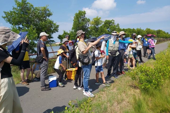 ▲在導覽老師解說下，一覽鹽田生態。　圖：臺南市政府觀光旅遊局／提供