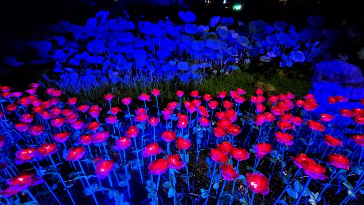 ▲裝置燈區－夜光夢境。　圖：台北市溫泉發展協會／提供
