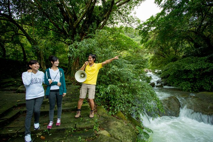 ▲草嶺古道是東北角海岸國家步道最受歡迎的健行路線之一。　圖：福容大飯店福隆／提供