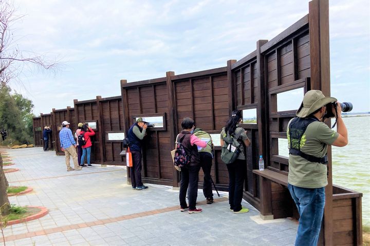 觀鳥馬拉松已開放報名。　圖：雲嘉南濱海國家風景區管理處／提供