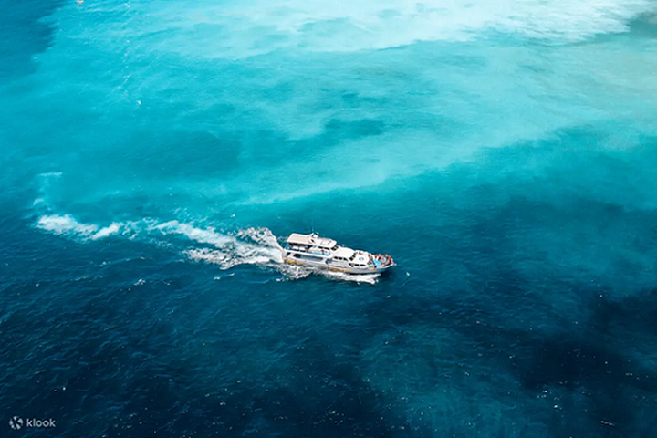 宜蘭龜山島賞鯨體驗追尋鯨豚的蹤跡，還會行經夢幻奶藍色的牛奶海，讓龜山島賞鯨體驗成為夏日人氣戶外體驗Top 20的第1名。　圖：Klook／提供
