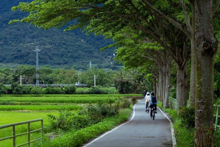 縱管處推出「徐行縱谷」單車優惠遊程。　圖：花東縱谷國家風景區管理處／提供 
