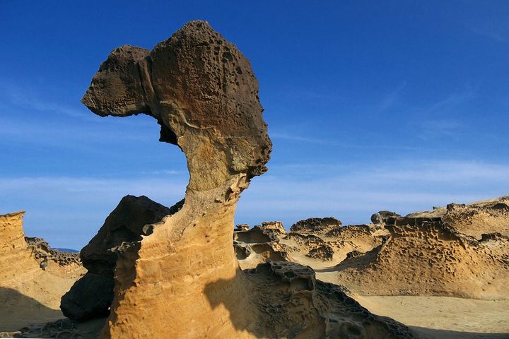 ▲野柳地質公園。　圖：北海岸及觀音山國家風景區管理處／提供