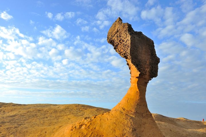 ▲野柳地質公園女王頭。　圖：北海岸及觀音山國家風景區管理處／提供