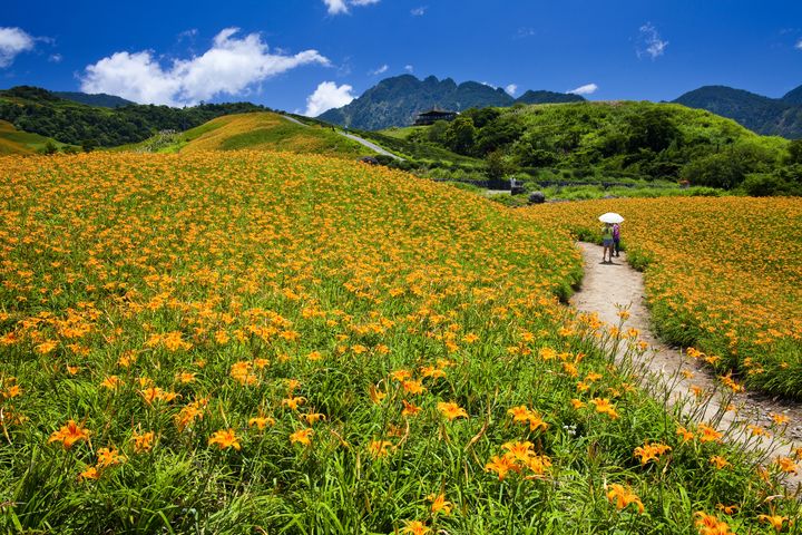 ▲臺東太麻里。　圖：Shutterstock／來源