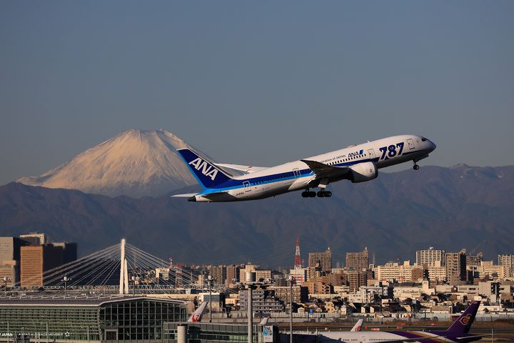 ANA航空10/30日起松山羽田天天飛。　圖：ANA／提供
