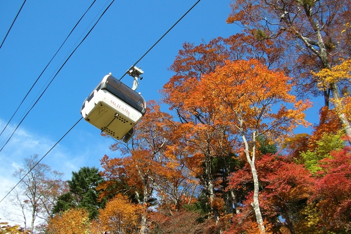 ▲纜車路線自海拔950公尺的山麓站直奔海拔約1,410公尺的山頂站，單程約10分鐘。　圖：東急リゾーツ＆ステイ株式会社／來源