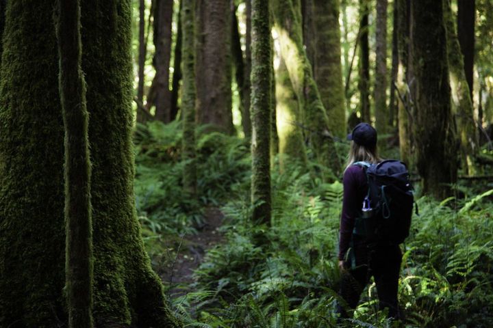 ▲溫哥華的自然景觀。　圖：加拿大旅遊局- Clayoquot Wilderness Lodge／提供