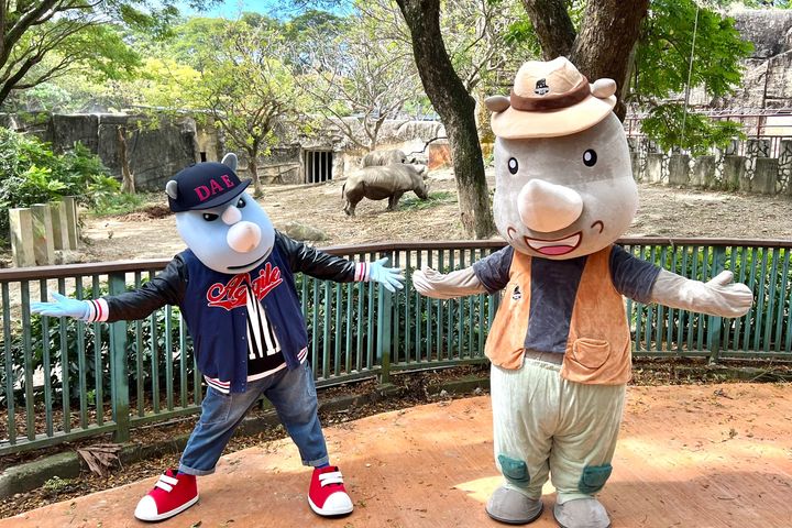 壽山動物園「犀」手義大遊樂世界 認養白犀牛享全年免費遊園
