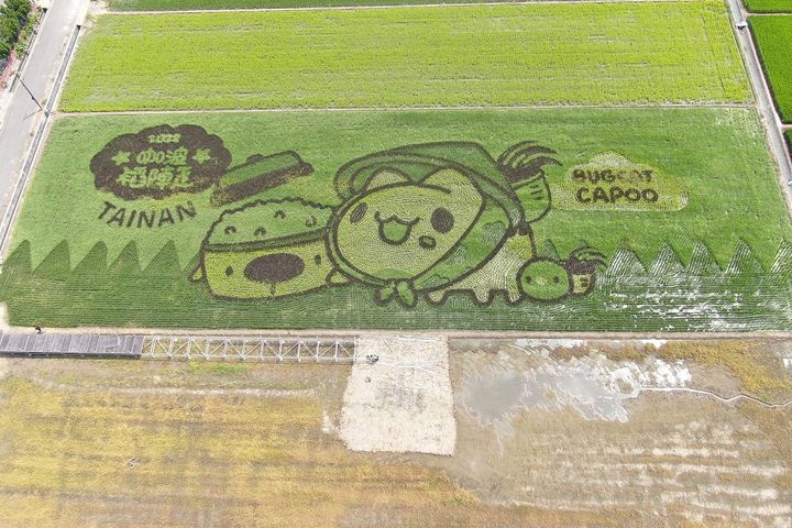 ▲「咖波稻陣走」彩繪稻田。　圖：台南市後壁區農會／提供