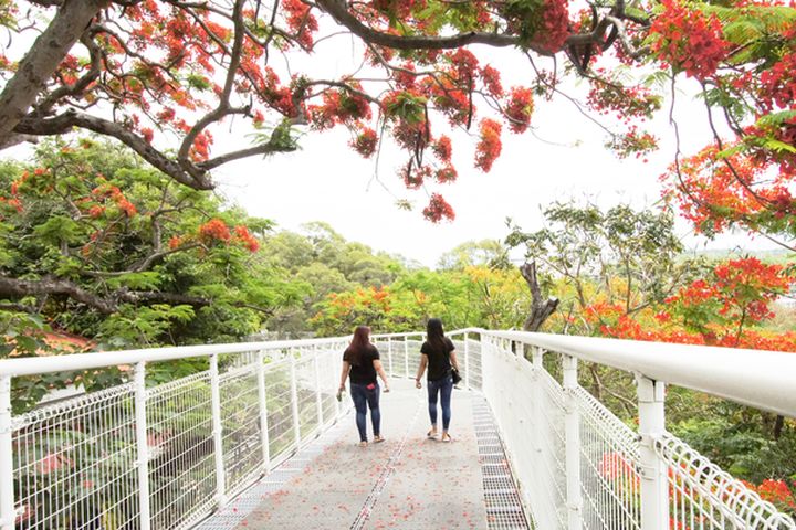 彰化市網紅景點－天空步道。　圖：彰化縣政府城市暨觀光發展處／提供