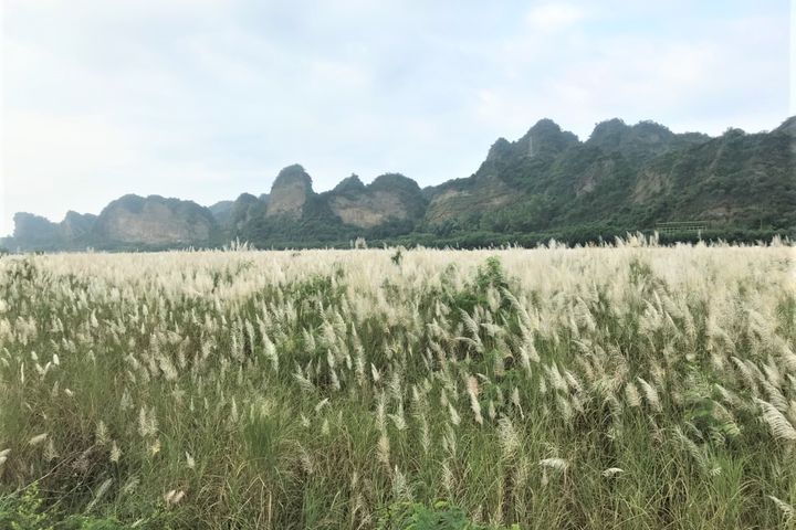 騎遊茂林／乘電輔自行車 體驗新威森林公園美景好輕鬆