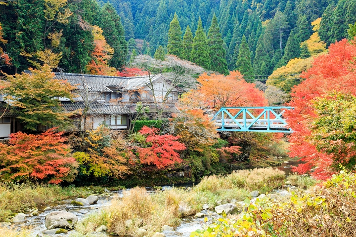 奧津溪的紅葉期約在10月下旬～11月中旬，此為往年盛況。　圖：岡山県観光連盟／來源