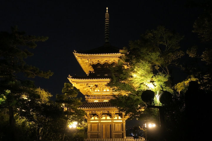 ▲三重塔在入夜點燈後，展現神祕氛圍。　圖：橫濱市／來源
